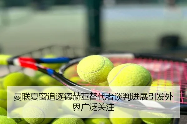 曼联夏窗追逐德赫亚替代者谈判进展引发外界广泛关注